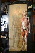 museum boerhaave 3-2022 1094
